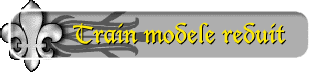 Train modele reduit